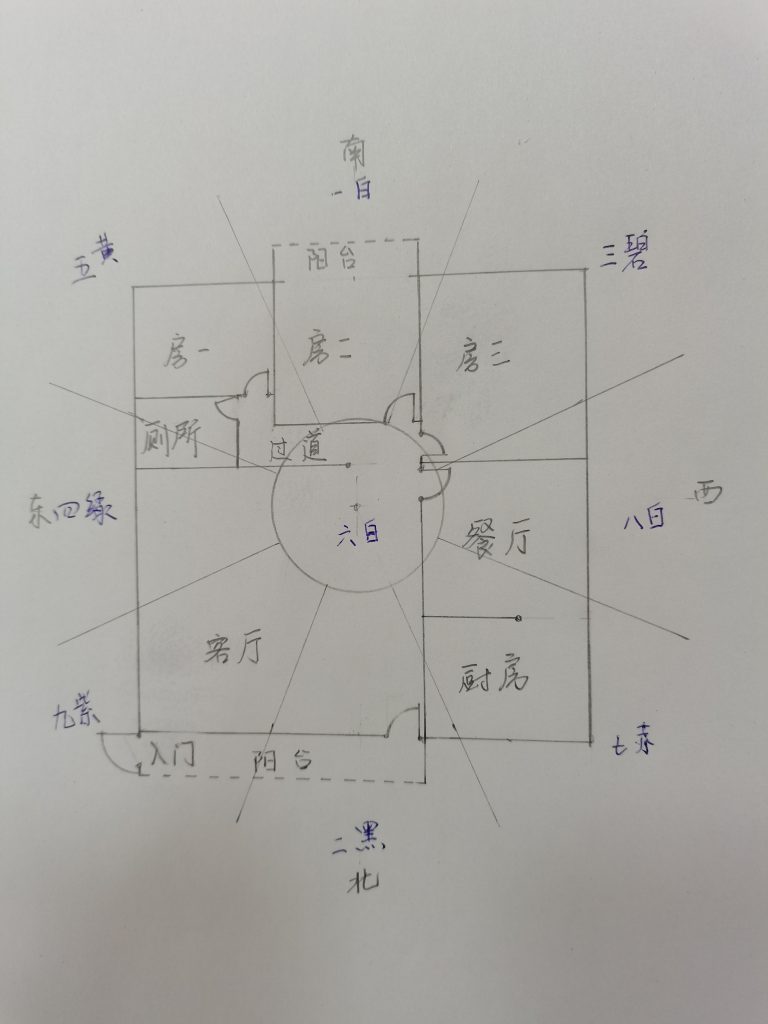 2021飛星案例